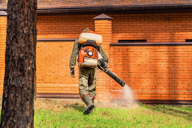 Trusted Cockroach Control service in Rensselaer, IN - Nex Pest Control
